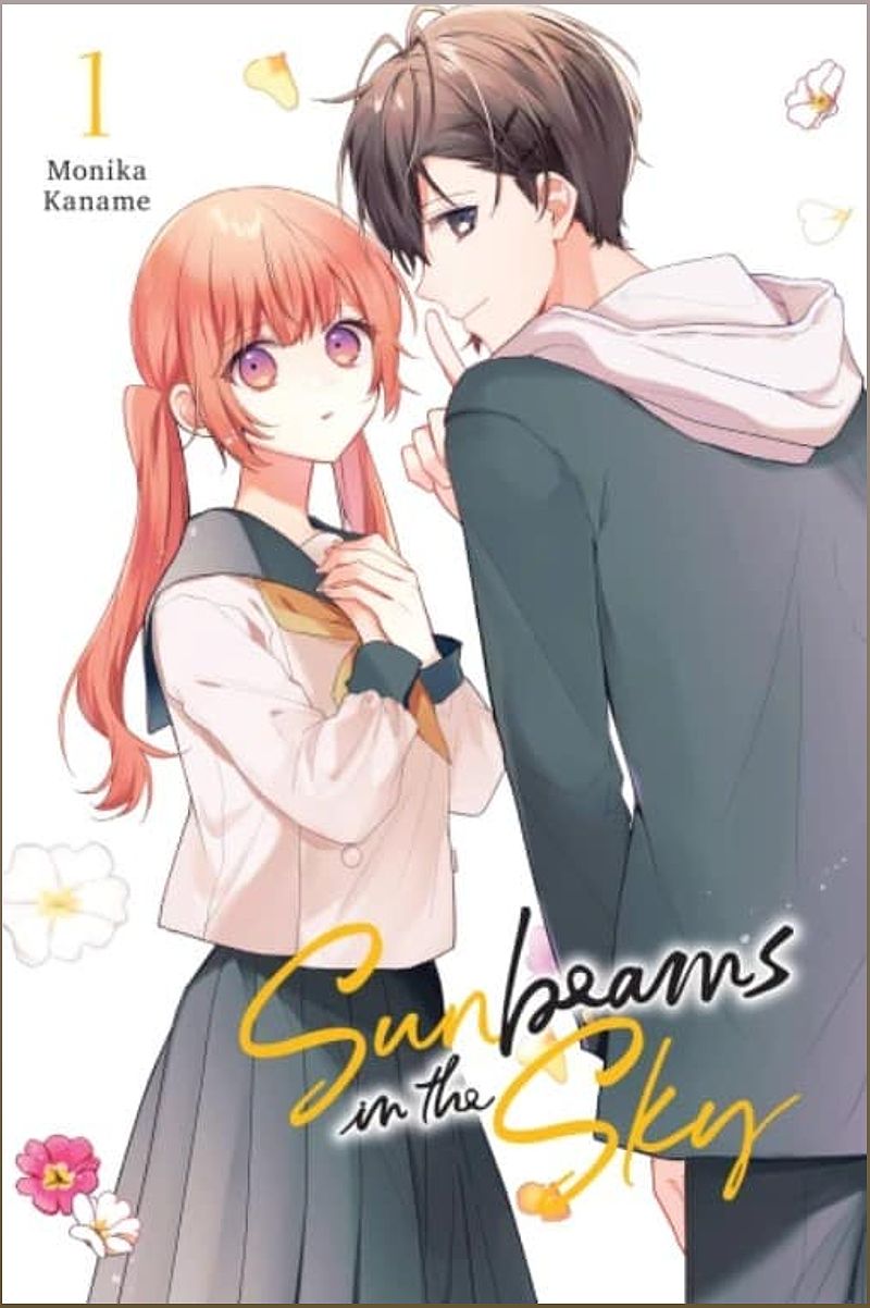 Sunbeams in the Sky: A Charming Teenage Rom-Com Worth Reading - 2033546036